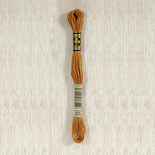 Load image into Gallery viewer, DMC Stranded Cotton - Art. 117 - Number 367 - 733