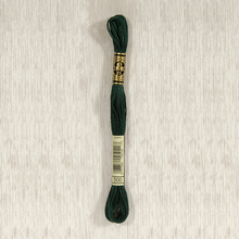 Load image into Gallery viewer, DMC Stranded Cotton - Art. 117 - Number 367 - 733