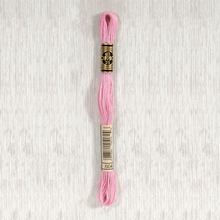 Load image into Gallery viewer, DMC Stranded Cotton - Art. 117 - Number 367 - 733