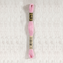 Load image into Gallery viewer, DMC Stranded Cotton - Art. 117 - Number 367 - 733