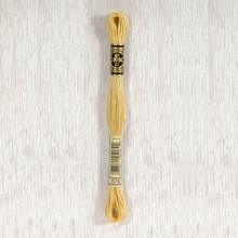 Load image into Gallery viewer, DMC Stranded Cotton - Art. 117 - Number 367 - 733