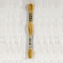 Load image into Gallery viewer, DMC Stranded Cotton - Art. 117 - Number 367 - 733