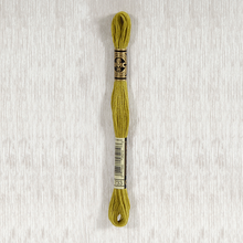 Load image into Gallery viewer, DMC Stranded Cotton - Art. 117 - Number 367 - 733