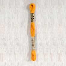 Load image into Gallery viewer, DMC Stranded Cotton - Art. 117 - Number 734 - 932