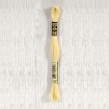 Load image into Gallery viewer, DMC Stranded Cotton - Art. 117 - Number 734 - 932