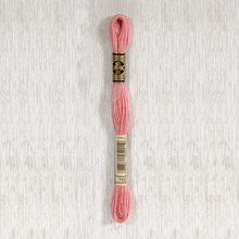 Load image into Gallery viewer, DMC Stranded Cotton - Art. 117 - Number 734 - 932