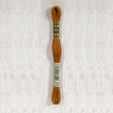 Load image into Gallery viewer, DMC Stranded Cotton - Art. 117 - Number 734 - 932