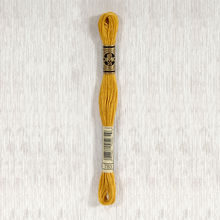 Load image into Gallery viewer, DMC Stranded Cotton - Art. 117 - Number 734 - 932