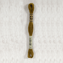 Load image into Gallery viewer, DMC Stranded Cotton - Art. 117 - Number 734 - 932