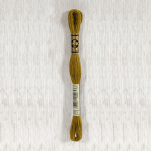 Load image into Gallery viewer, DMC Stranded Cotton - Art. 117 - Number 734 - 932