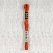 Load image into Gallery viewer, DMC Stranded Cotton - Art. 117 - Number 734 - 932