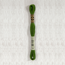 Load image into Gallery viewer, DMC Stranded Cotton - Art. 117 - Number 734 - 932