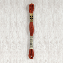 Load image into Gallery viewer, DMC Stranded Cotton - Art. 117 - Number 734 - 932