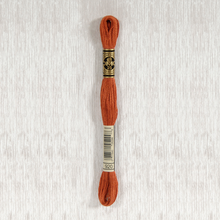 Load image into Gallery viewer, DMC Stranded Cotton - Art. 117 - Number 734 - 932