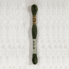 Load image into Gallery viewer, DMC Stranded Cotton - Art. 117 - Number 934 - 3747