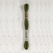 Load image into Gallery viewer, DMC Stranded Cotton - Art. 117 - Number 934 - 3747