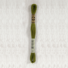 Load image into Gallery viewer, DMC Stranded Cotton - Art. 117 - Number 934 - 3747