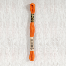 Load image into Gallery viewer, DMC Stranded Cotton - Art. 117 - Number 934 - 3747