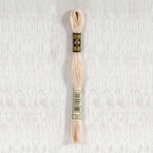 Load image into Gallery viewer, DMC Stranded Cotton - Art. 117 - Number 934 - 3747