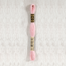 Load image into Gallery viewer, DMC Stranded Cotton - Art. 117 - Number 934 - 3747