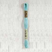 Load image into Gallery viewer, DMC Stranded Cotton - Art. 117 - Number 934 - 3747