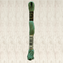 Load image into Gallery viewer, DMC Stranded Cotton - Art. 117 - Number 934 - 3747
