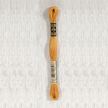 Load image into Gallery viewer, DMC Stranded Cotton - Art. 117 - Number 934 - 3747