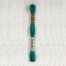 Load image into Gallery viewer, DMC Stranded Cotton - Art. 117 - Number 934 - 3747