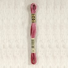 Load image into Gallery viewer, DMC 99 Variegated Stranded Cotton Art 117..