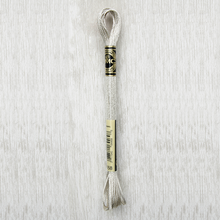 Load image into Gallery viewer, DMC Metallic Light Effects E168 317W