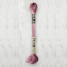 Load image into Gallery viewer, DMC Metallic Light Effects E316 317W