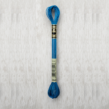 Load image into Gallery viewer, DMC Metallic Light Effects E3843 317W