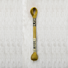 Load image into Gallery viewer, DMC Metallic Light Effects E3852 317W