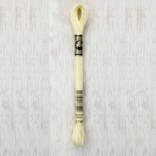 Load image into Gallery viewer, DMC Metallic Light Effects E746 317W