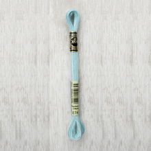 Load image into Gallery viewer, DMC Metallic Light Effects E747 317W