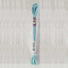 Load image into Gallery viewer, DMC - Colour Variations Art. 417F