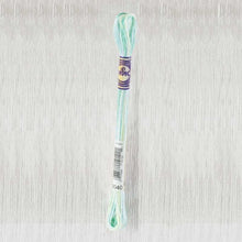 Load image into Gallery viewer, DMC - Colour Variations Art. 417F