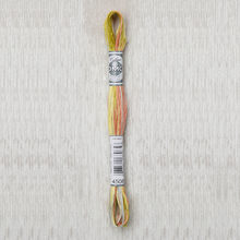 Load image into Gallery viewer, DMC - Coloris Art. 517