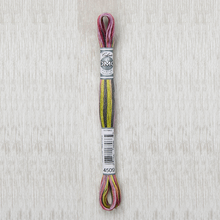 Load image into Gallery viewer, DMC - Coloris Art. 517