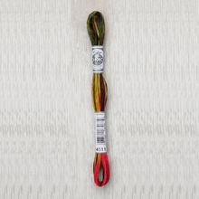 Load image into Gallery viewer, DMC - Coloris Art. 517