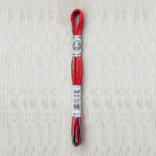 Load image into Gallery viewer, DMC - Coloris Art. 517