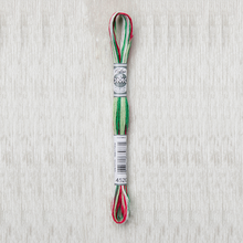 Load image into Gallery viewer, DMC - Coloris Art. 517