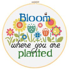 Load image into Gallery viewer, Happy Hoops-2 - Country Threads Counted Cross Stitch Chart FJP-036-47-56