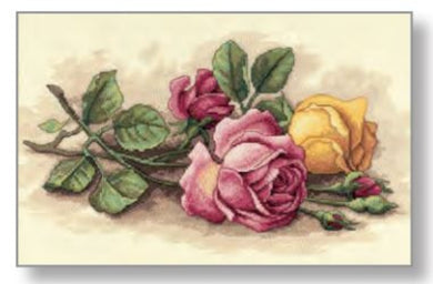 Rose Cuttings Cross Stitch Kit by DImensions 13720