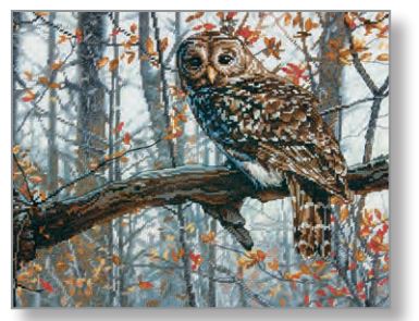 Wise Owl Cross Stitch Kit by Dimensions 70-35311