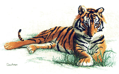 Adolscence Tiger CC023 Cross Stitch Chart Couchman Creations Sonia's Needle & Thread