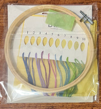 Load image into Gallery viewer, The Panicauts Embroidery Kit by DMC TB172L
