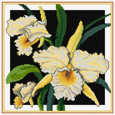 Golden Catts Orchid Cross Stitch Chart Country Threads