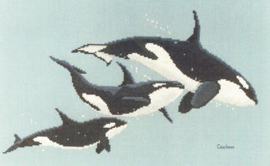 killer whales cc013 cross stitch chart couchman creations Sonia's Needle & Thread