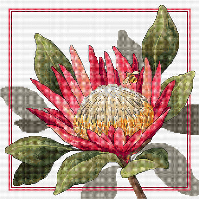 King Protea Cross Stitch Chart Country Threads